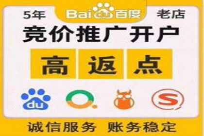 案例解析：SEM竞价策略优化技巧